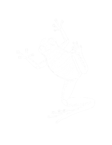 Hawaii Sticker