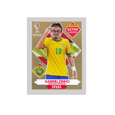 Santa Catarina Legend Sticker by Gabrielzinho