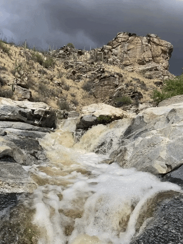 Nature GIF