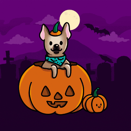 Dog Halloween GIF by TEHZETA