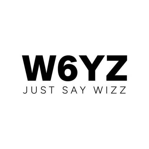 Wizz Sticker by Falc