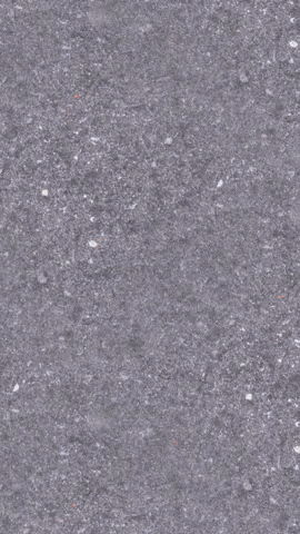 Scottnblackcat GIF