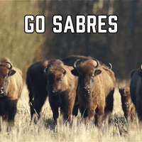 Go Sabres