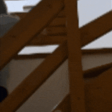 Mayooo GIF