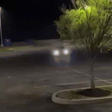 Donuts Drifting GIF