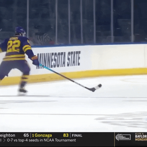 College Hockey Empty Net Goal GIF by Hockey Players Club