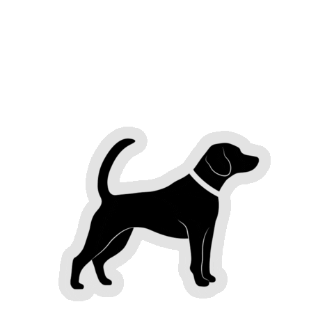 RedPanda Sticker