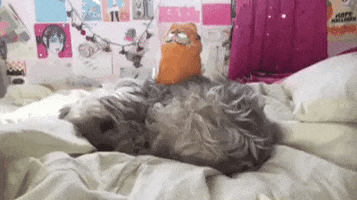 GIF by constant