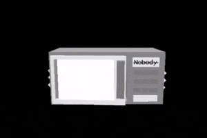 Nobody Microwave GIF