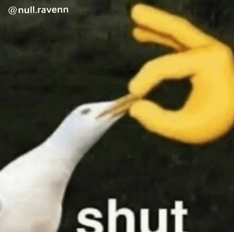 Nullravenn Stfu GIF
