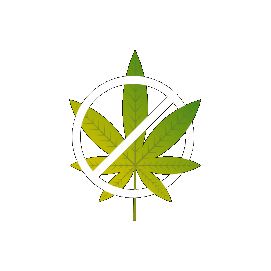 Weed Drugs Sticker by Dutchnaturalhealing