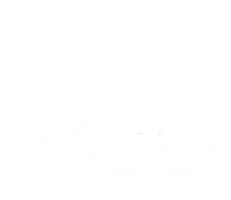 Letališčebrnik Sticker by Ljubljana Airport
