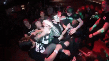 Sing-Along Mosh Pit GIF by To Live A Lie Records