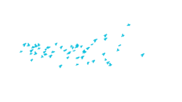 Nayib Bukele Sticker by Nuevas Ideas