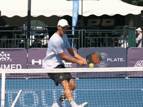 Backhand GIF by D.C. Pickleball Team