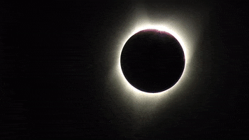 Solar Eclipse Sun GIF by NASA