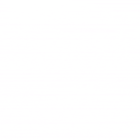 BadMonkey GIF