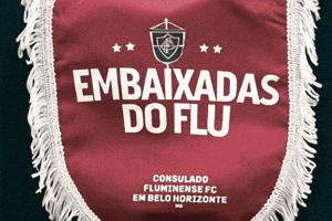 Fluminense GIF