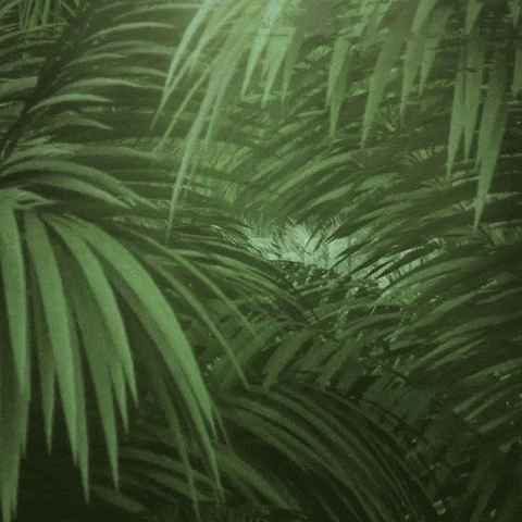 Life Eats Life GIF by Nature Is Metal