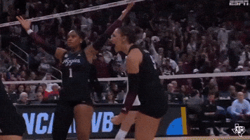 Texas Am Volleyball GIF by Texas A&M Athletics