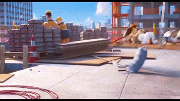 Animated GIF