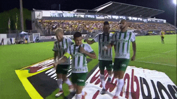 dudu comemoracao GIF by SE Palmeiras