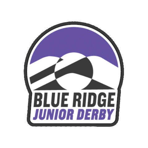 Roller Derby Skate Sticker by Blue Ridge Roller Derby