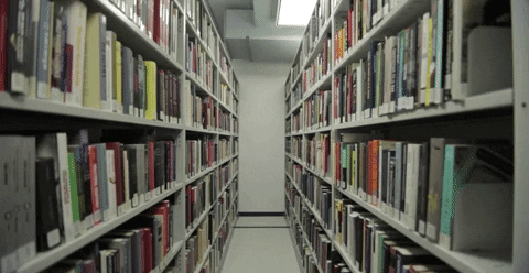 Books Library GIF by TIFF - Find & Share on GIPHY
