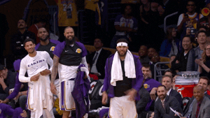 happy javale mcgee GIF by NBA