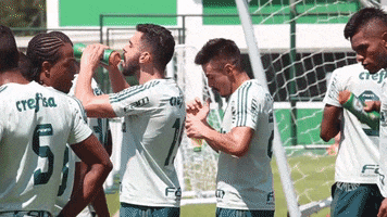 happy olha lÃ¡ GIF by SE Palmeiras