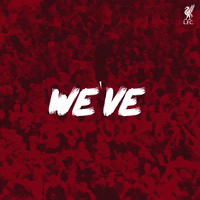 champions league lfc GIF by Liverpool FC