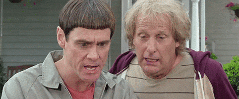 Jim Carrey Harry Dunne GIF by Dumb and Dumber To