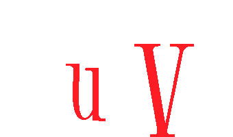 Nuevo Sticker