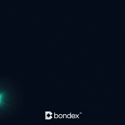 Merry Christmas GIF by Bondex App