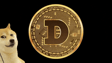 Dogecoin's November Price Spike