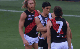 magpies essendon GIF by CollingwoodFC
