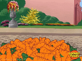 bugs bunny wtf GIF by Looney Tunes