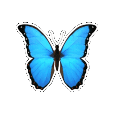 Sticker Emoji Sticker