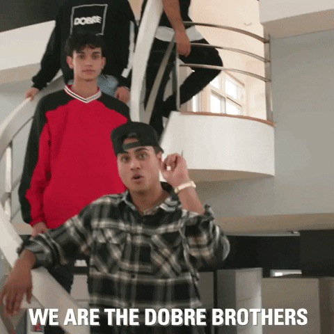 dobre brothers GIF by MTV Cribs