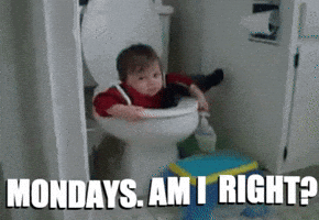 Text gif. We zoom in on a toddler, contorted and stuck half-in-half-out of a toilet. Beneath bounce the words “Mondays. Am I right?”