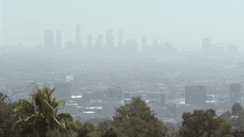 Los Angeles La GIF by 1091