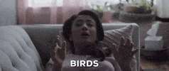 Birds Therapy GIF by TinaTheMovie