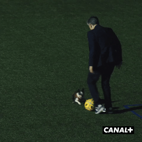 Benjamin Biolay Football GIF by CANAL+