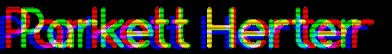Parkett Herter GIF