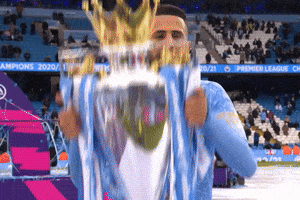 Happy Premier League GIF