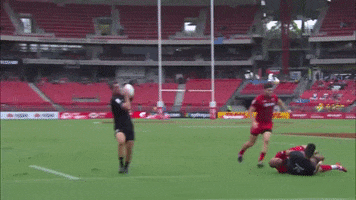 Happy Days Thumbs Up GIF by World Rugby