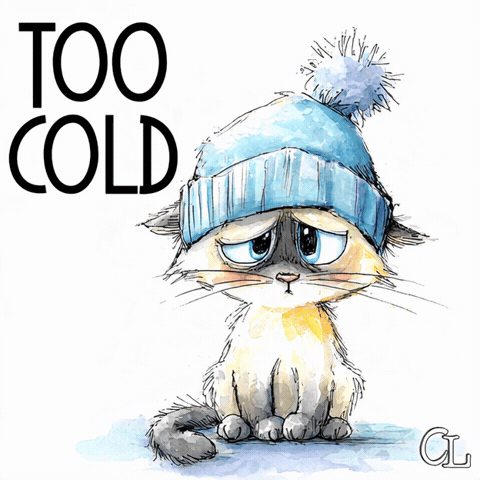 Freezing Cold Weather GIF