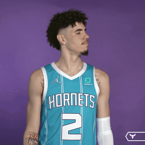 No Way Idk GIF by Charlotte Hornets