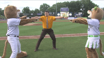 the office dwight GIF by Kane County Cougars
