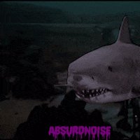 jaws 3 horror movies GIF by absurdnoise